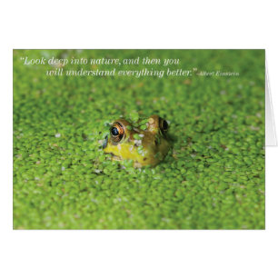 Rana en algas verdes