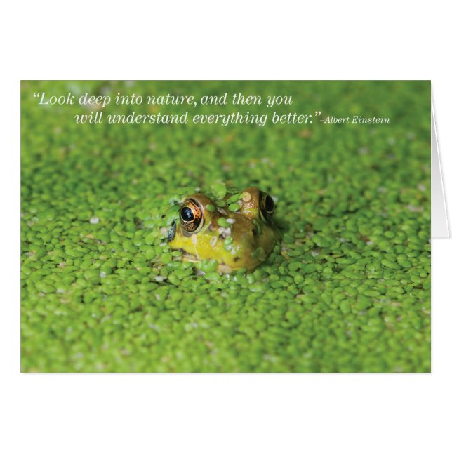 Rana en algas verdes (Anverso (Horizontal))