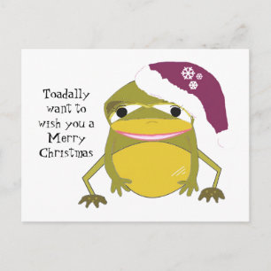 Rana humorística en un Gorra Navidad