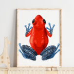 Rana roja con manchas azules | Impresión digital<br><div class="desc">Rana roja con manchas azules | Impresión digital - Nuestra colección de impresiones en pared de rana se verá genial en la habitación de su hijo.</div>