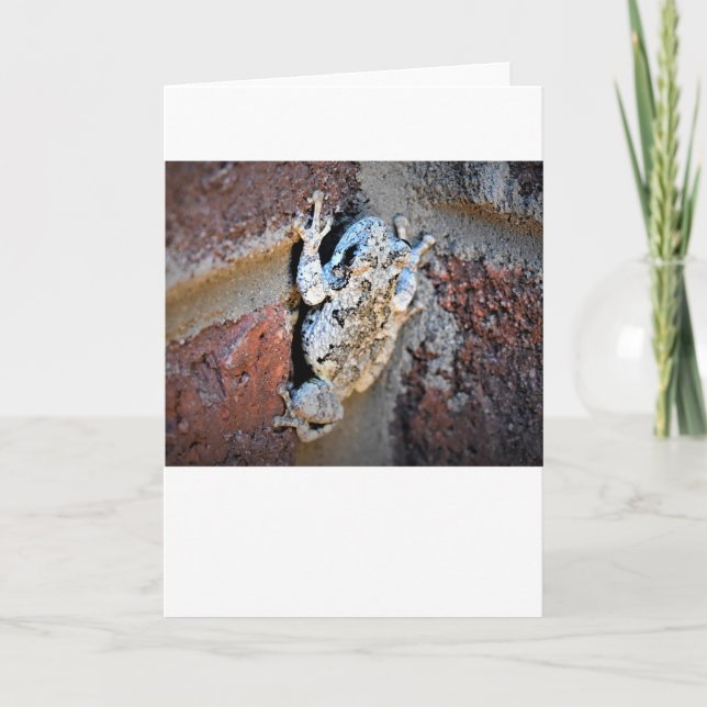 Rana, tarjeta (Anverso)