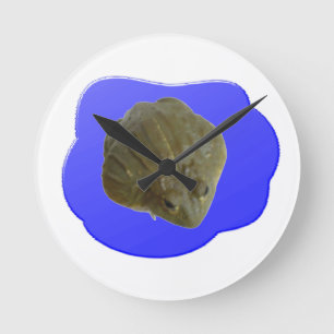 Rana toro en el reloj de pared de estanques