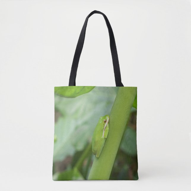 rana verde brillante en una bolsa de té (Anverso)