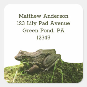 Rana verde en las etiquetas de dirección de retorn