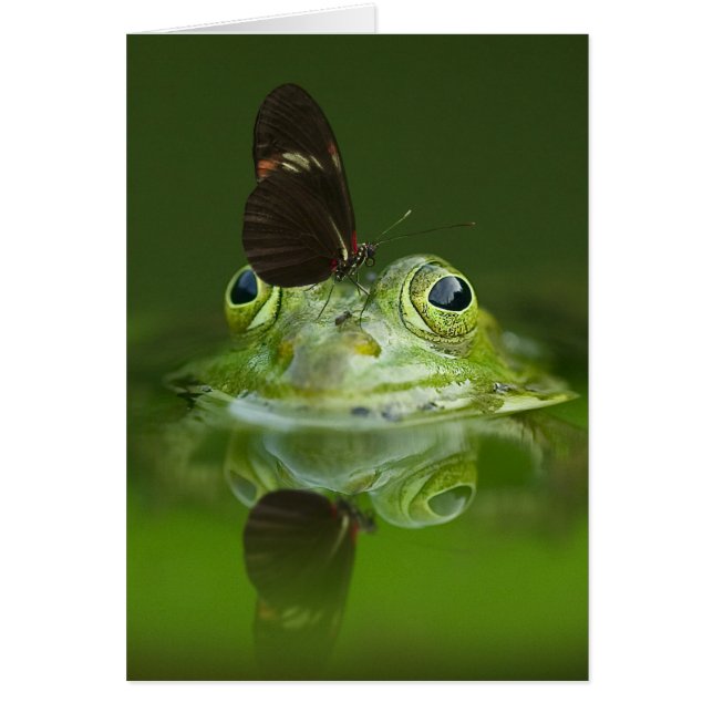 Rana verde y mariposa (Frente)