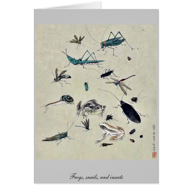 Ranas, caracoles, e insectos (Frente)