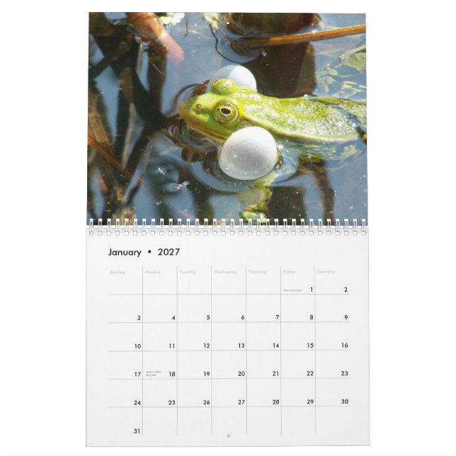 Ranas del calendario de mundo (Jan 2027)