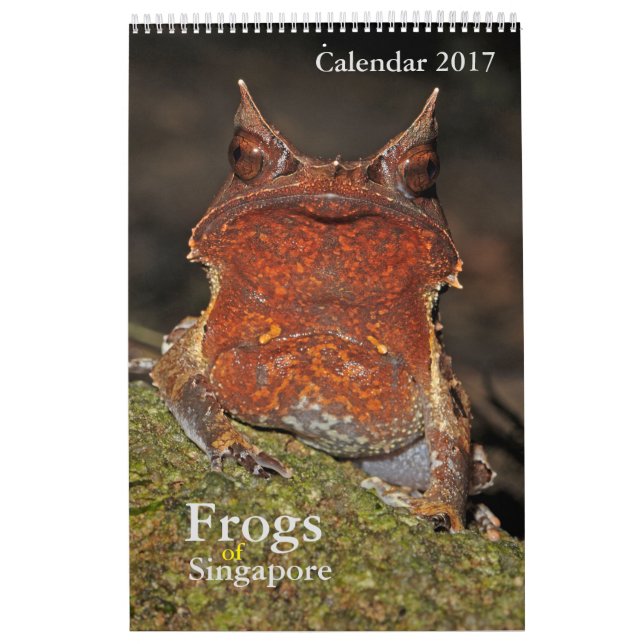 Ranas del calendario de Singapur 2017 (Tapa)