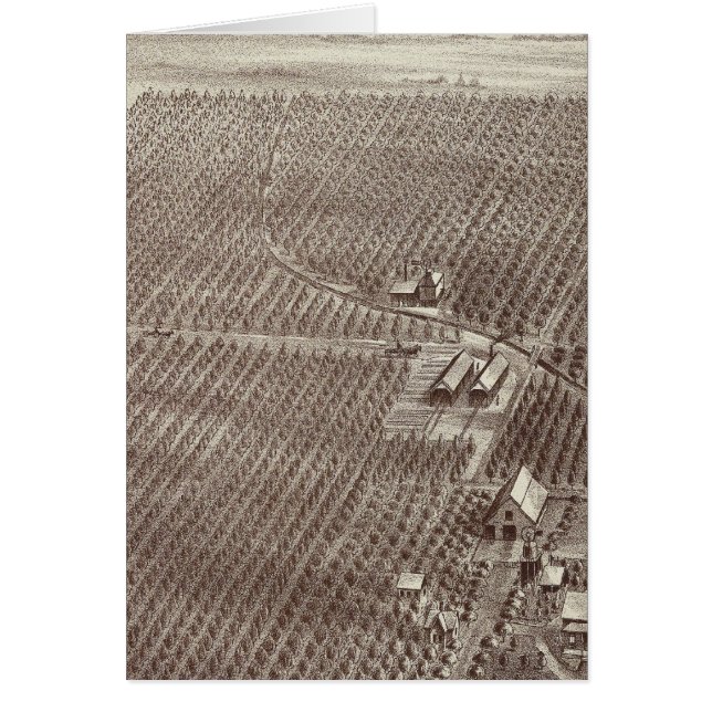 Rancho Chapin Fruit (Frente)