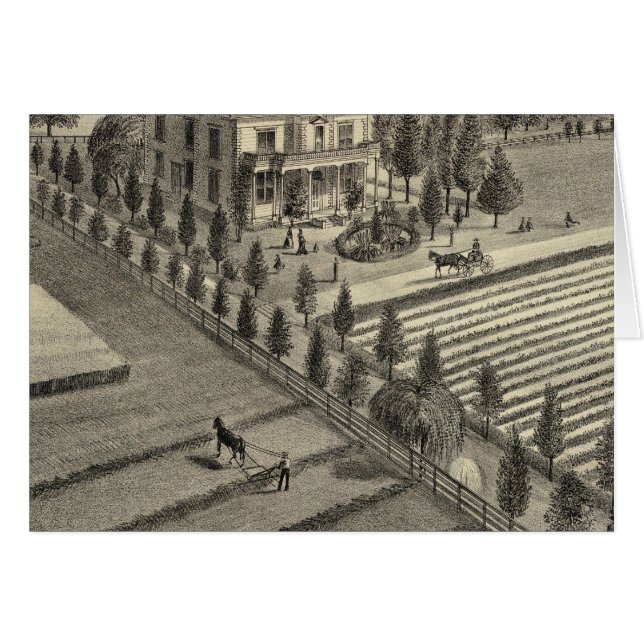 Rancho de árbol solitario (Anverso (Horizontal))
