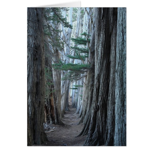 Rancho del mar (Frente)