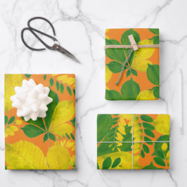 'Rang De Basanti' en un juego de papel de ajuste