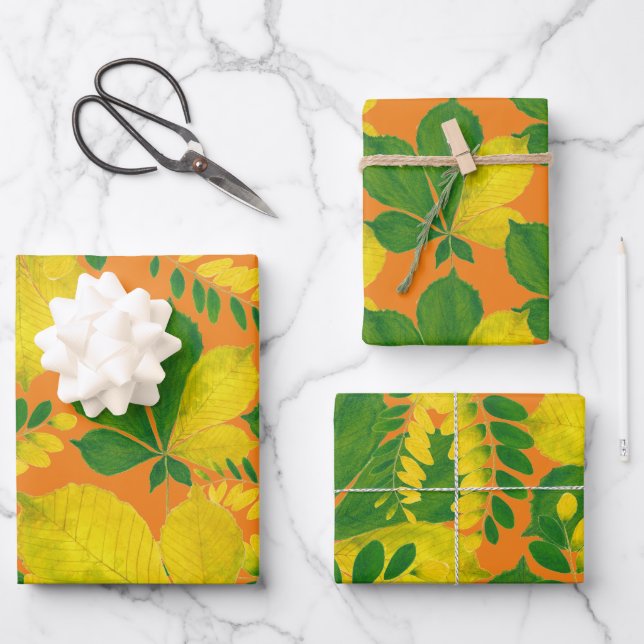 'Rang De Basanti' en un juego de papel de ajuste (Anverso)