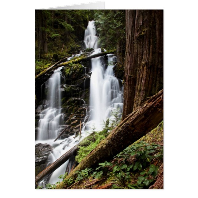 Ranger Falls (Frente)