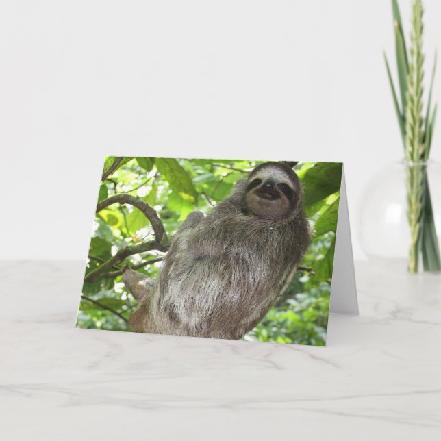 Ranura en tarjetas de felicitación de árbol (Anverso)