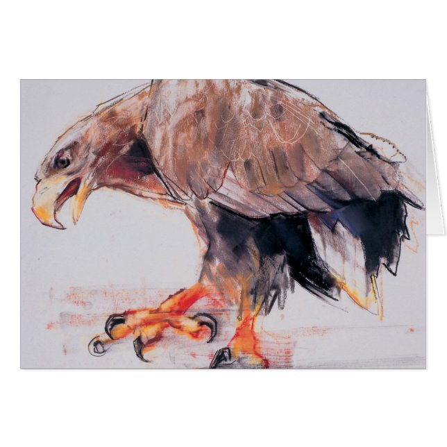 Rapaz 2001 (Anverso (Horizontal))