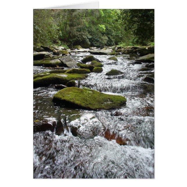 Rapids plateado (Frente)