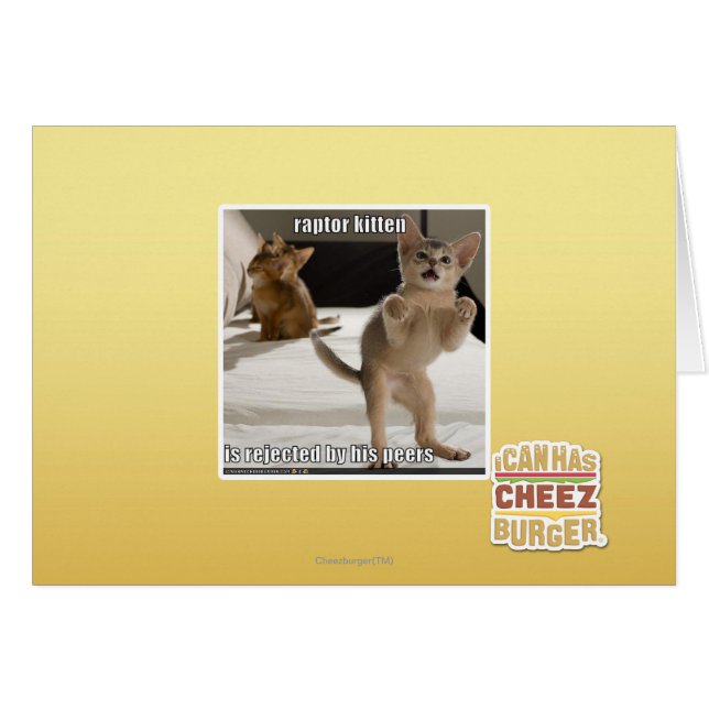 Raptor Kitten (Anverso (Horizontal))