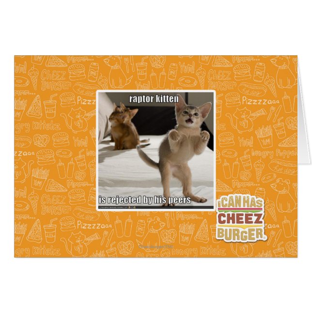 Raptor Kitten (Anverso (Horizontal))