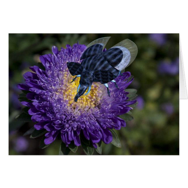 Rara bicho de elefante azul (Anverso (Horizontal))