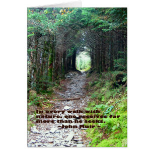 Rastro de la cueva del alumbre: Cada paseo