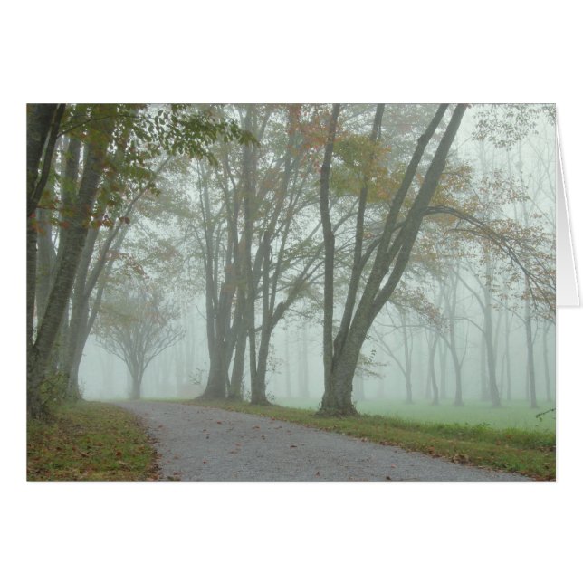 Rastro del pájaro cantante (Anverso (Horizontal))