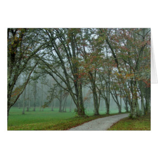 Rastro II del pájaro cantante