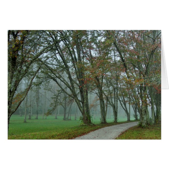 Rastro II del pájaro cantante (Anverso (Horizontal))