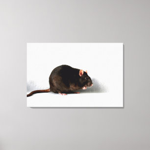 Rat 36x24 (90x60cm) impresión de lienzo de waccn