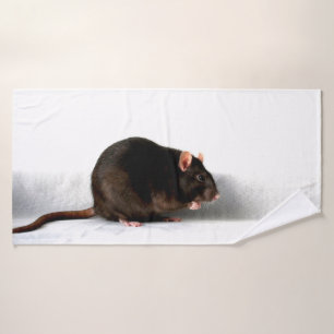 Rat btcn