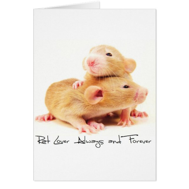 Rat Lover siempre y para siempre (Frente)