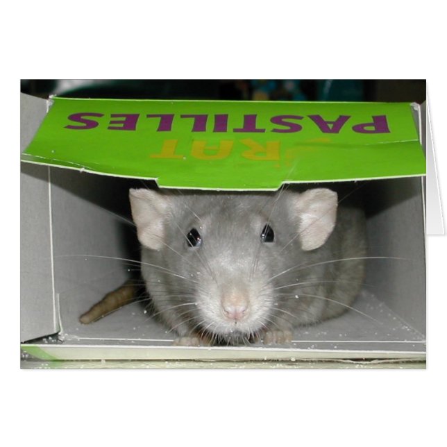 Rat Pastilles (Anverso (Horizontal))