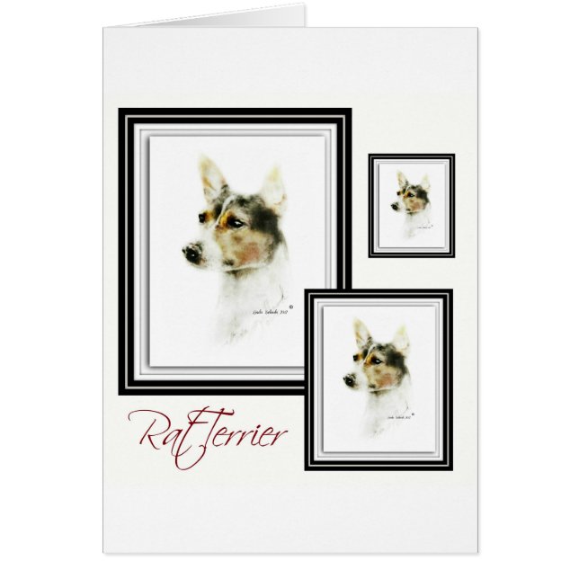 Rat Terrier (Frente)