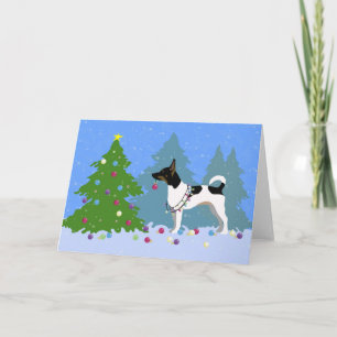Rat Terrier decora árbol de Navidad en bosque