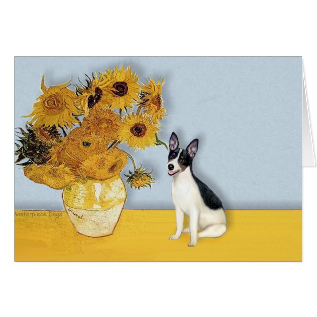 Rat Terrier - girasoles (Anverso (Horizontal))