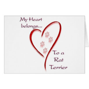 Rat Terrier Heart Pertenece