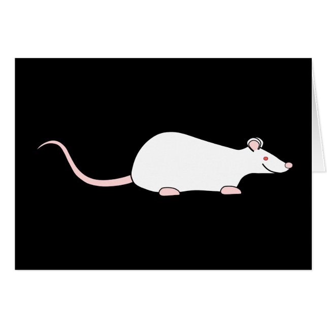 Rata blanca del mascota del albino (Anverso (Horizontal))