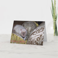 Rata del mascota, tarjeta de cumpleaños de Duncan