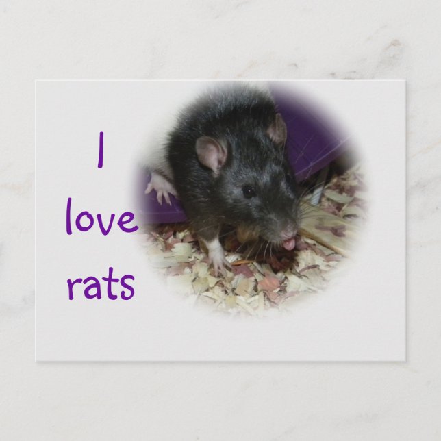 Rata linda sacando su tarjeta postal de lengua (Anverso)