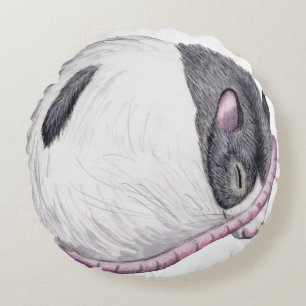 rata que duerme alrededor de la almohada de tiro
