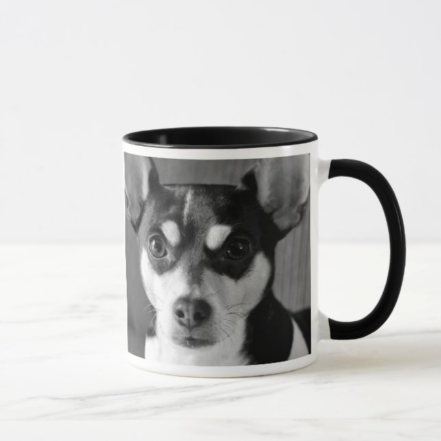 Rata Terrier, blanco y negro, taza de la raza del (Derecha)