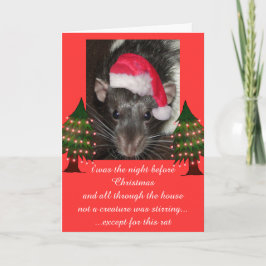 Ratas del navidad