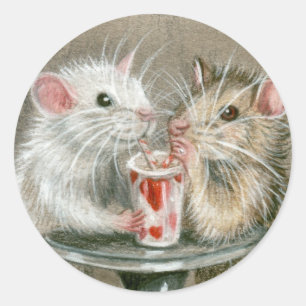 Ratas en un Pegatina de citas