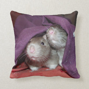 ratas que ocultan la almohada de Mojo del