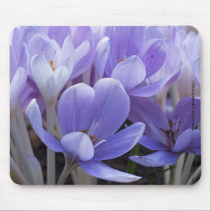 Ratón Alfombrilla de Crocus