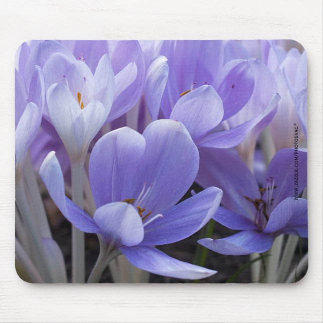 Ratón Alfombrilla de Crocus (Frente)