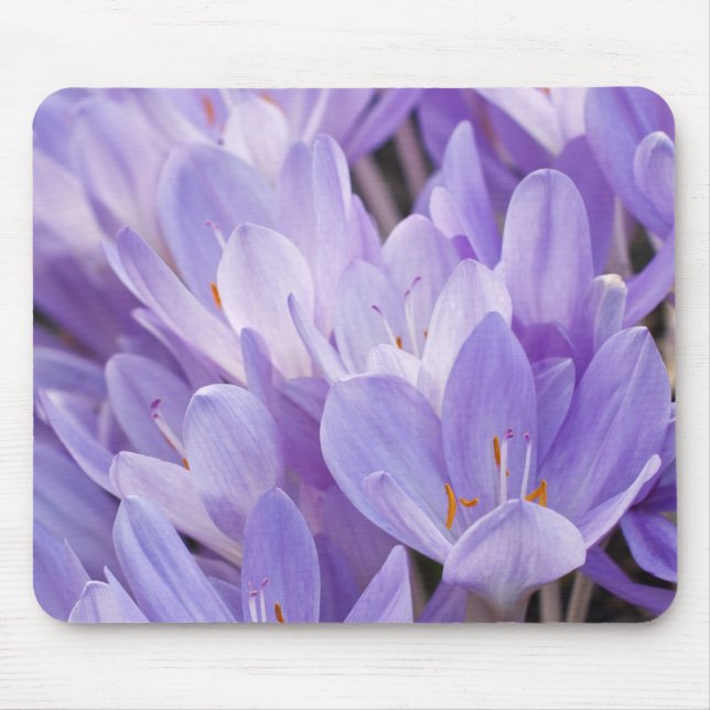 Ratón Alfombrilla de Crocus (Frente)