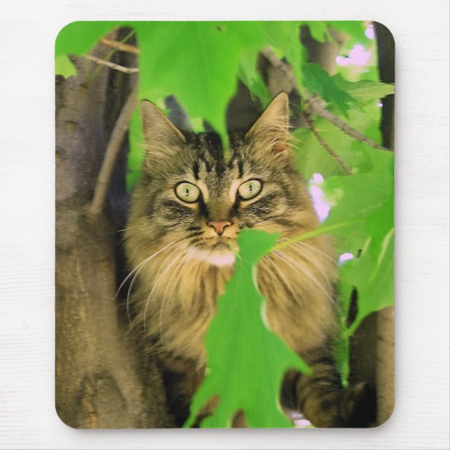Ratón Alfombrilla de gato de árbol (Frente)