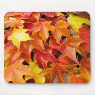 Ratón Alfombrilla de hojas de árbol de otoño Naranja Ama