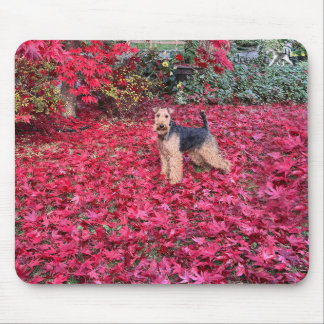 Ratón Alfombrilla de Terrier Galés